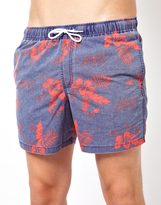 asos-swimwear-asos-swim-shorts-with-tiger-print