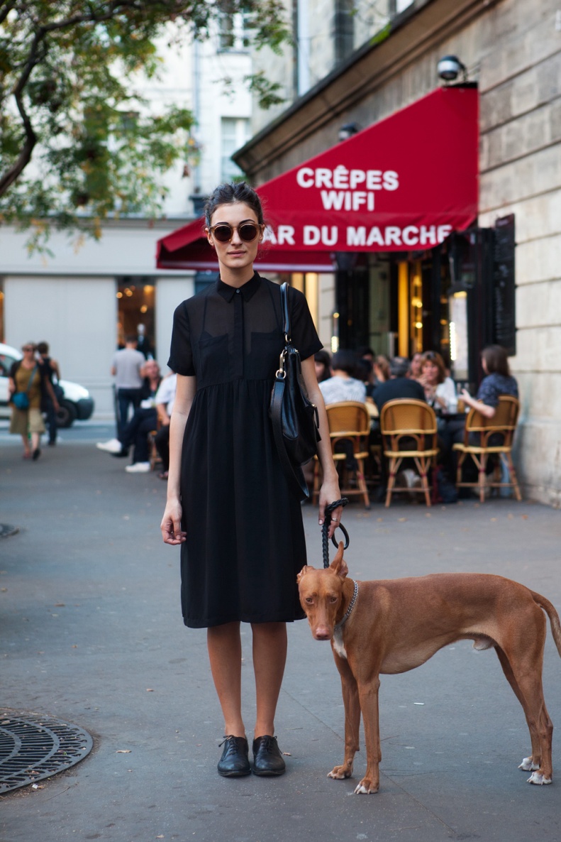 Paris-dogwalk